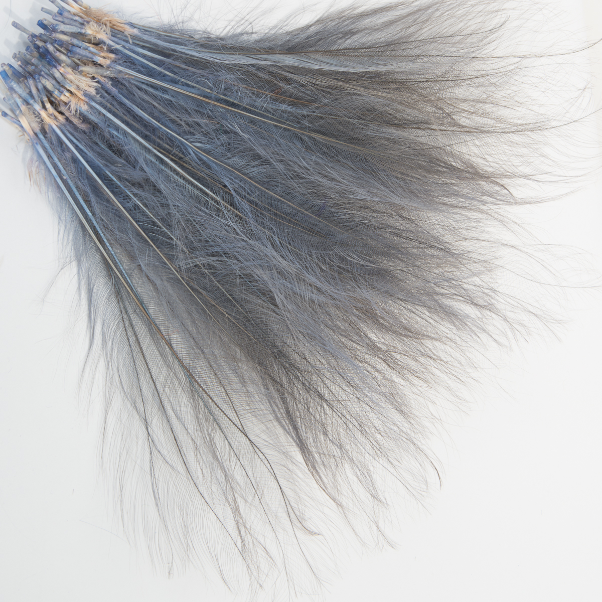 12 inch ostrich feathers
