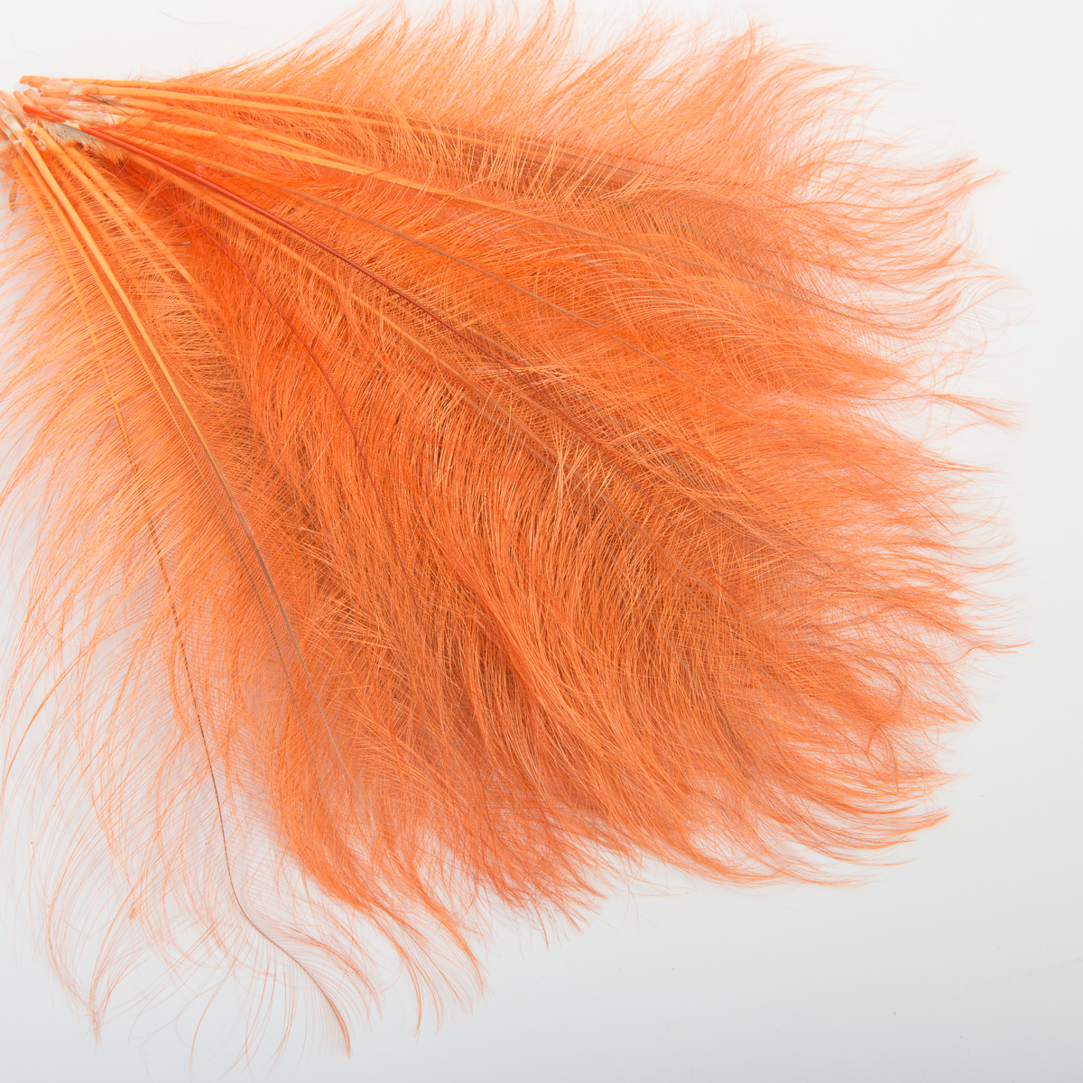 Brown 12-14'' Burnt Ostrich Feather Trims By Piece