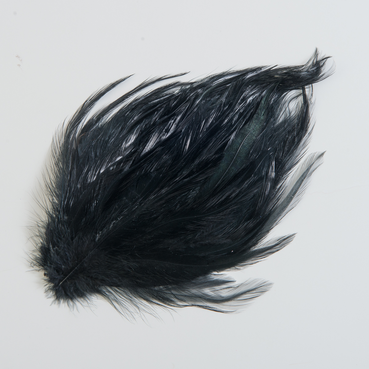 T010312A-12 Black 5 Inch Hackle Feather Pads