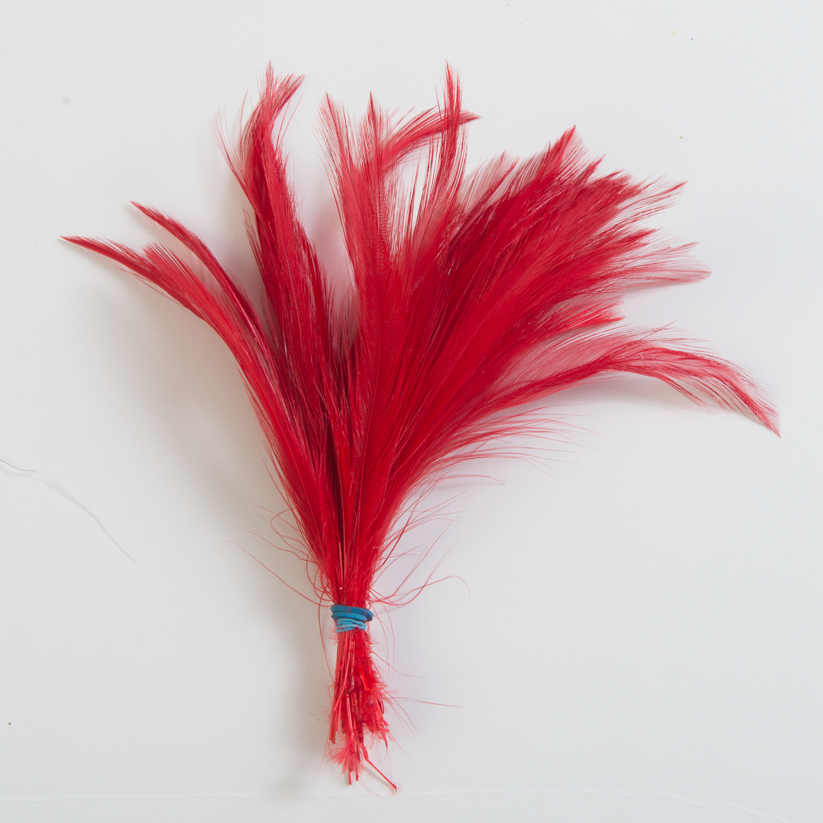 3 - 5 Red Feathers